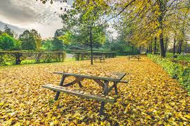 Parc de la Paix